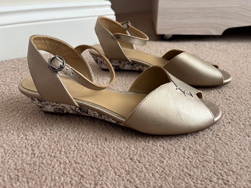 Hotter comfort concept - , hallie
